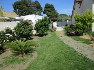 les palmiers - Vias - 4
