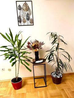 Vintage Bucharest apartment - Bucarest - 0