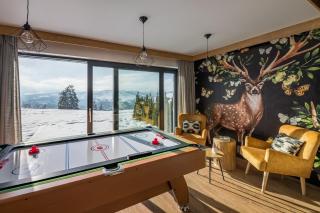 Widokowe Apartamenty na Kępiatym Wzgórzu & Wellness - Czarna Góra - 1