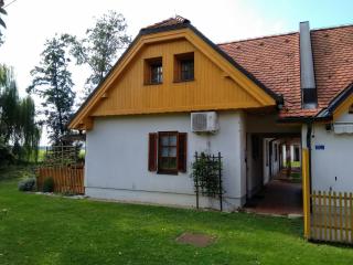 Apartment Trobentica 40 Moravske Toplice - SPA - Moravske Toplice - 9