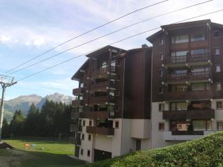Appartement cosy pour 4, au pied des pistes à Morillon 1100, proche jardin d'enfants - FR-1-642-41 - Morillon - 1
