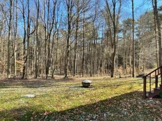 Cozy Cottage near Cook Forest Park, ANF - Marienville - 9