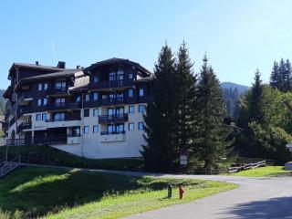 Confortable Duplex Mezzanine - Pied des Pistes et Balcon - FR-1-642-48 - Morillon - 1