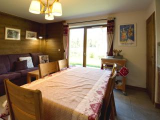 Charmant appartement avec terrasse, proche lac bleu et télécabine - FR-1-642-35 - Morillon - 9