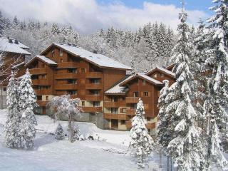 Bel appartement 3 ch, déco montagne, au pied des pistes - FR-1-642-57 - Morillon - 5
