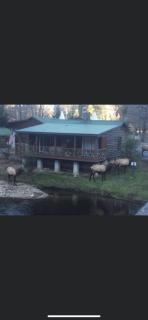 Qualla Cabins and Motel Cherokee near Casino - 9