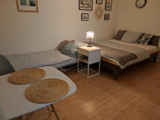 Suite 13 Apartment mit Netflix - Teublitz - 5