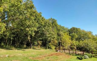 B&B "Retro Gusto " - 1