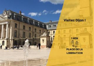 L'appartement des Ducs - Dijon - 2