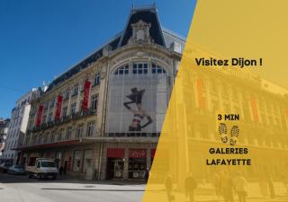 L'appartement des Ducs - Dijon - 3