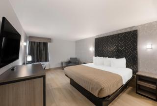 Essence Express Wayne - 1