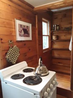 Adirondack Cottage Retreat - Elizabethtown - 1