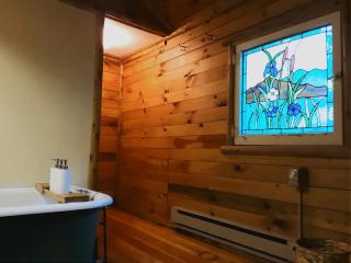 Adirondack Cottage Retreat - Elizabethtown - 4