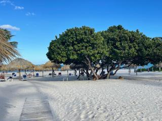 Stanza Mare Beach Front - Punta Cana - 1