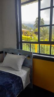 Finca Cardonales - Salento - 7