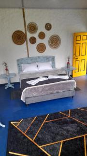 Finca Cardonales - Salento - 5