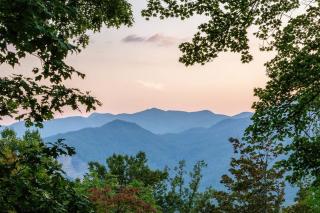 Cozy Log Cabin in the Clouds - Sylva - 2