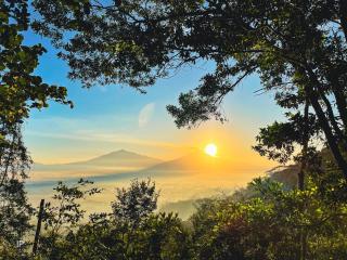 Villa Borobudur Resort - Borobudur - 2