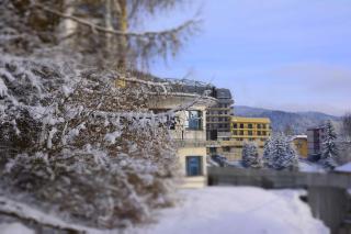Farys - świetna lokalizacja, sauna, jacuzzi, piękne widoki z okien - Krynica-Zdrój - 9