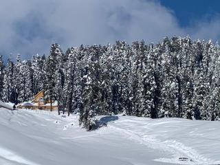Gulmarg Ski Hill Resort - 1