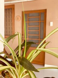 Phuc Sinh Homestay - Ben Tre - 5