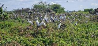 Kakrona Pouk Homestay - 8