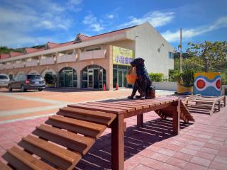 Howard Kenting Wonder House - 9