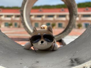 Howard Kenting Wonder House - Kenting - 1
