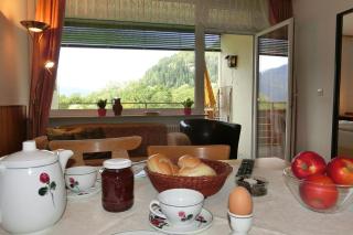 LANZ Haus KMB Seeappartement am Ossiacher See, Hallenbad und direktem Seezugang - Tschöran - 5