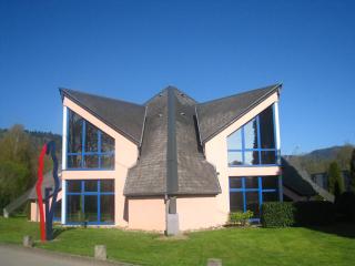 Résidence la Pyramide - Oberhaslach - 9