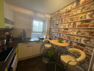 Möblierte Wohnung für Geschäftsreisen/Ferienwohnung Plauen Stadtmitte - Plauen - 5
