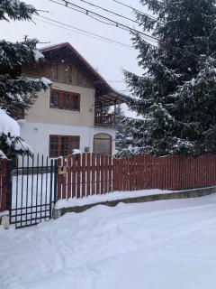 Vila Busteni DORA, locatie superba strada Grivitei 36 - Bușteni - 9