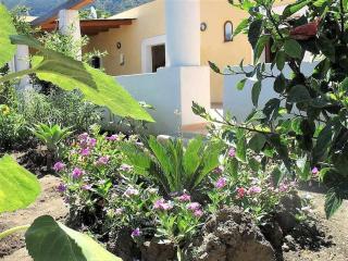 Casa Il Girasole, panoramica e a pochi passi dal centro di Malfa - Malfa - 9