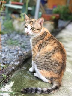 Phuc Sinh Homestay - 9