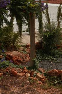 Quinta do Rio Country Inn - Silves - 4