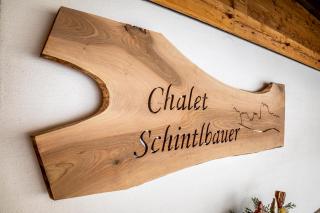 Chalet Schintlbauer - Annaberg im Lammertal - 9
