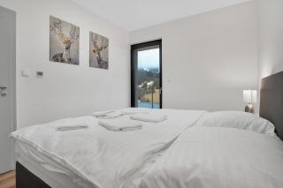 Apartmány Vista Klínovec - Loučná pod Klínovcem - 1