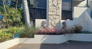 5 OYSTER COTTAGE - 7