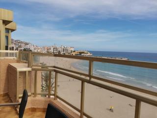 Ático Primera Línea Parque de Elche - Benidorm - 0