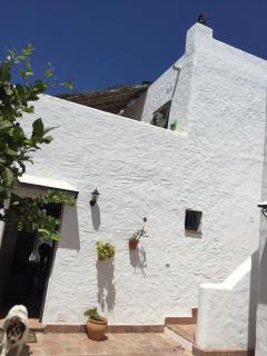 Casa Leïa Caños de Meca - Los Caños de Meca - 9