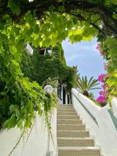 Casa Malo' - Ischia - 3