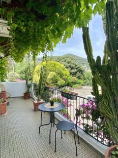 Casa Malo' - Ischia - 4