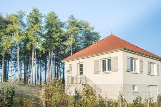 Hôtel et Cottages Domaine Du Marquenterre - Saint-Quentin-en-Tourmont - 8