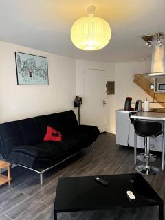 Appartement climatisé ALBI - Centre - Albi - 1