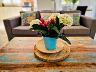 Nissi beach villa Oleandra - 5