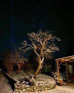 The Shack plus Camping - Llandinam - 2