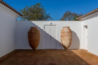 Cenoura-Brava - Évora - 6