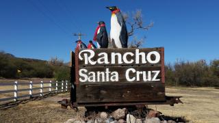 Rancho Santa Cruz - Tubac - 1
