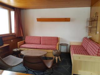 Appartement lumineux proche des pistes avec balcon et 2 chambres - FR-1-181-2665 - La Plagne Tarentaise - 7