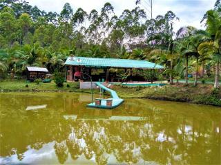 Sitio Libardo em Meio a Natureza - Nova Trento - 8